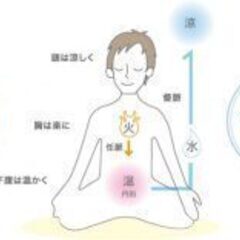 体が硬くても大丈夫！腸と脳のヨガ【藤沢駅すぐ】の画像