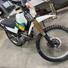 YAMAHA セロー225  1月までの画像