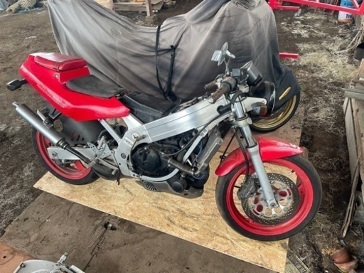 ［売約済］ 希少車 スズキ ウルフ250 2st WOLF250 ガンマ