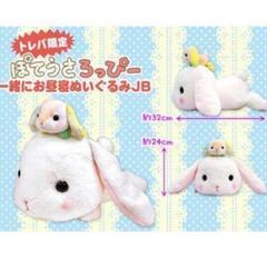 非売品 新品未使用袋入り ぽてうさろっぴー 　ぽてうさ　トレバ　...