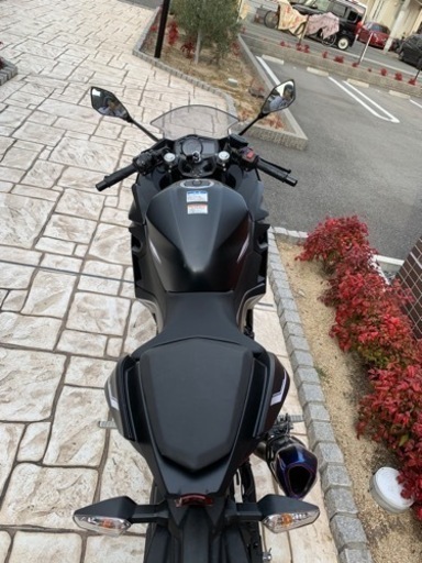ninja ニンジャ 250 自賠責有 即納車