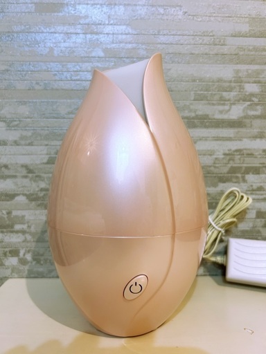 Franc francのコンパクト加湿器。ピンクのチューリップはインテリアにもおススメ☆