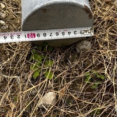 鉄製ポールの画像