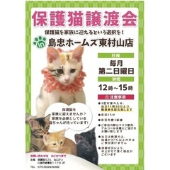 【保護猫譲渡会 in 島忠ホームズ東村山店】