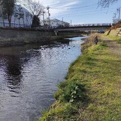 稲城の1歳ママです👶子育ての情報や美味しいお店、地域イベント情報交換したいです! - メンバー募集