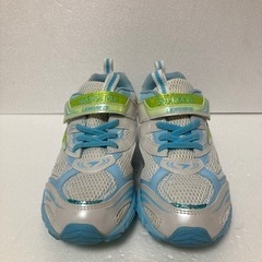 ☆瞬足SYUNSOKU LEMONPIE 24㎝☆の画像