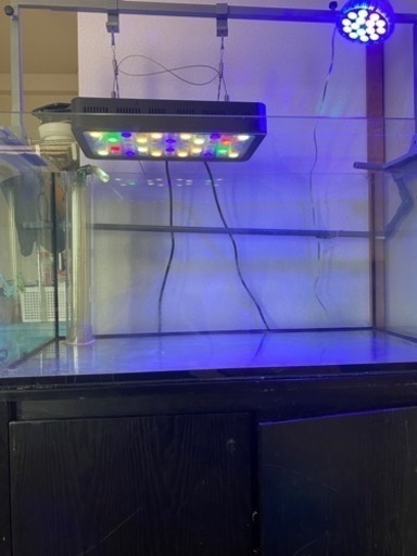 オーバーフロー水槽