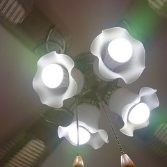 シーリングファンの画像