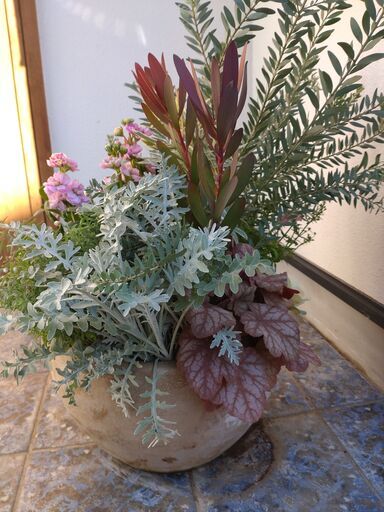 お花の寄せ植え【春の新作②】