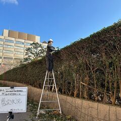 現場員募集、作業員募集の画像