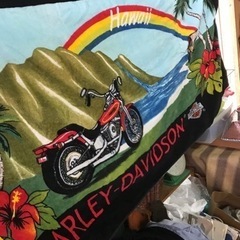 Harley-Davidson ハーレーダビッドソン　ハワイ　大...