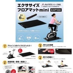［値下しました］　アルインコ エアロバイク＋付属4点付の画像