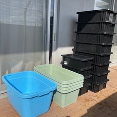 メダカ飼育容器