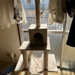 キャットタワー