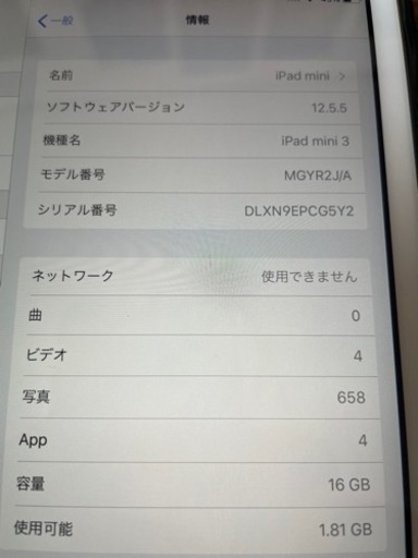 ipad mini 3世代　16GB Wifi＋Celler