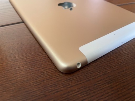 ipad mini 3世代　16GB Wifi＋Celler
