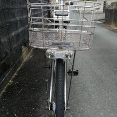ブリジストン アルベルト「交渉中」