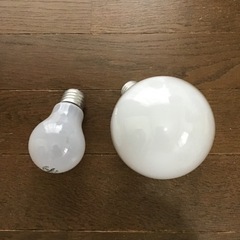 シリカ電球の画像