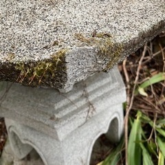 灯籠　灯篭　とうろうお譲りしますの画像