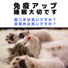 枕をたくさんお持ちの方！枕を選ぶポイントお伝えします。