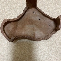 亀シェルターの画像