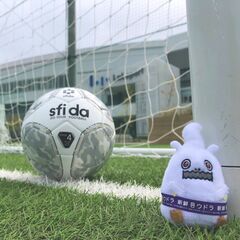歩いてプレーするウォーキングサッカー⚽️初心者歓迎🔶綺麗な人工芝...