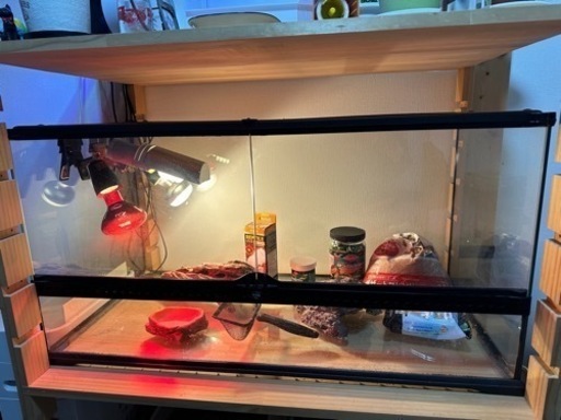 GEX EXOTERRA グラステラリウム 9045 【中古】飼育セット