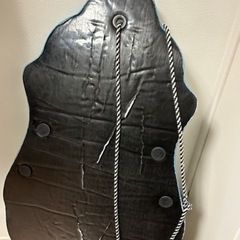 ソリの画像