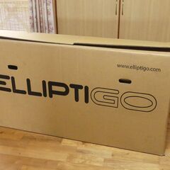 スタンドアップ　マウンテンバイク　（ElliptiGO）