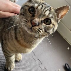 飼い主さん決まりました！ありがとう御座いました
