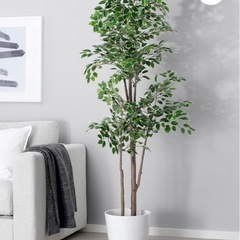 早い者勝ち】フェイクグリーン　IKEA フェイカFEJKA