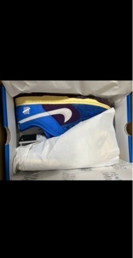 アンディフィーテッド × ナイキ ダンク ロー SP 