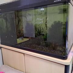 お取引中　NISSO 90cm水槽　熱帯魚　台セットの画像