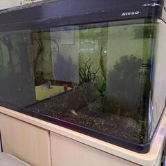 お取引中　NISSO 90cm水槽　熱帯魚　台セット