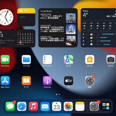iPad Air2 Wi-Fi モデル 16GB 美品　iPadOS15.7.2で動作の画像