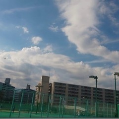 一緒にテニスやりませんか？🎾