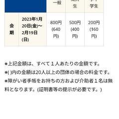 【取引中】沖縄県立美術館博物館、高校生大学生入場券の画像