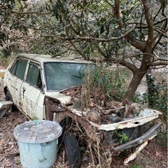 日産サニー　50年前のボロボロ車の画像