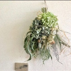 レモンユーカリ　mdjの画像