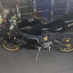 トライアンフ DAYTONA675の画像