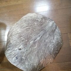 ジェンベドラム張り替え用の山羊皮