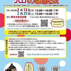 横浜市泉区　猫の譲渡会　主催にゃぶ　2023年2月