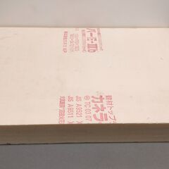 カネライトフォーム A1判100mm厚　スタイロフォーム