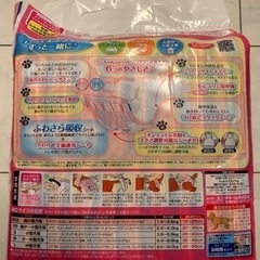 マナーウェア 女の子用 超小型犬用 SSSサイズ 42枚入の画像