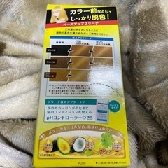 ブリーチの画像