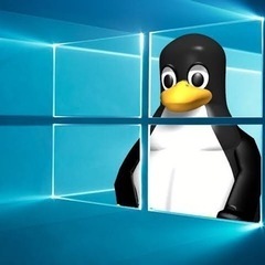 古くて遅いパソコンをLinuxで使えるパソコンに！①