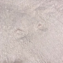 シャギーラグの画像