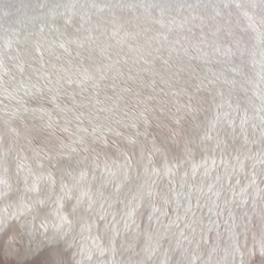 シャギーラグの画像