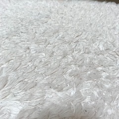 シャギーラグの画像