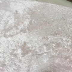 シャギーラグの画像